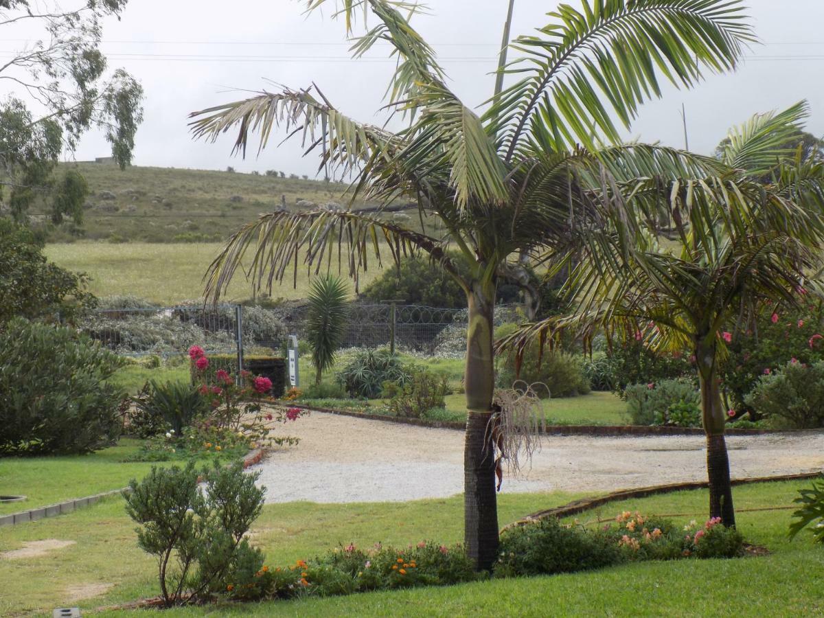 Haka Hana B&B Port Elizabeth Exterior photo